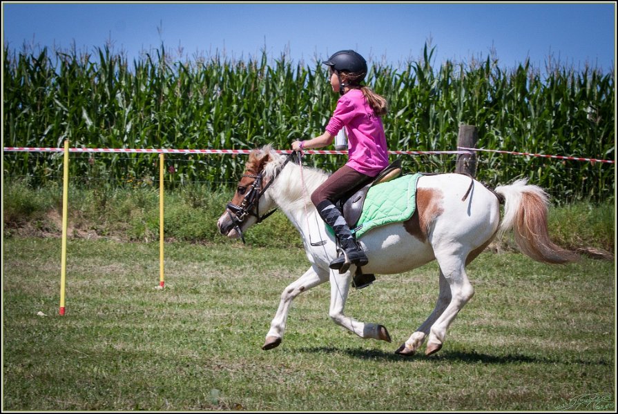 Mounted Games 142